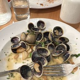 Vongole clams Vongole clams