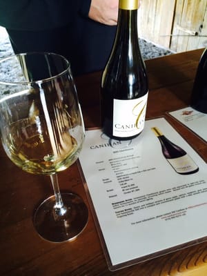 Canihan Wines by null