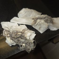 Motel 6 - The hair that was in the shower drain.