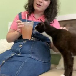 Beautiful Tuxedo wanting a sip of Strawberry drink.