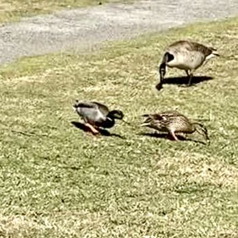 Hunter Park - Parks Near Me - Tulsa, Oklahoma Hunter Park - Parks Near Me - Tulsa, Oklahoma