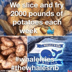 The Whale's Rib - #thewhalesrib