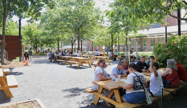 Liberty Garden by null