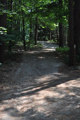 Wells State Park by null