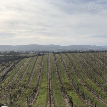 Eberle Winery - View from deck - Wineries Near Me - Paso Robles, California Eberle Winery - View from deck - Wineries Near Me - Paso Robles, California