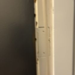 Camden Harbor View Apartments - More cockroaches
