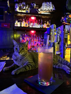 Loose Cannon Bar by null