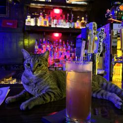 Loose Cannon - Loose canon - their version of French 75 with their cat Bobbi