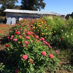 Bose Family Farm