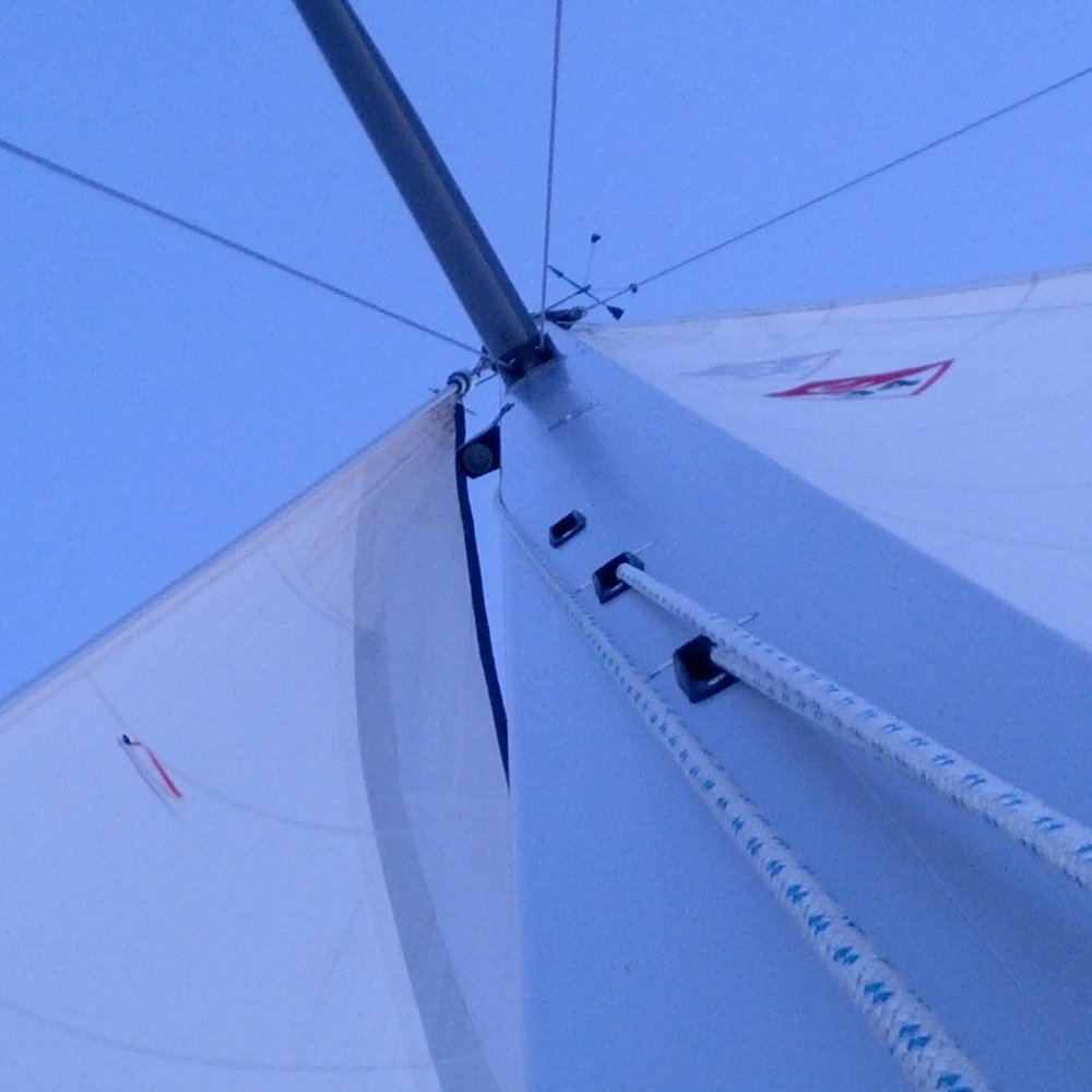 Sailing Austin - Skyward. - Boating Near Me - Austin, Texas Sailing Austin - Skyward. - Boating Near Me - Austin, Texas
