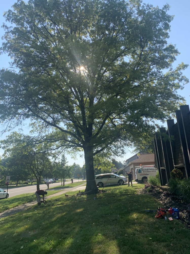 Columbus Tree Company - tree service in Columbus, OH