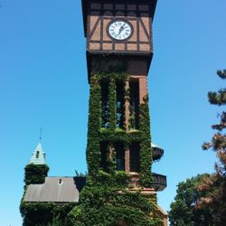 Goebel Park - Beautiful day