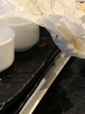 Arigato Sushi by null