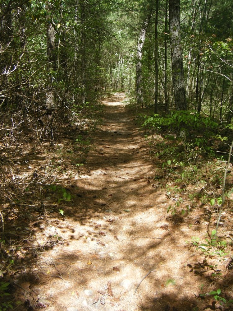 ESCOHEAG TRAIL Updated September 2024 20 Photos Escoheag Hill Rd