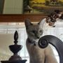 Photo of Mary Parker Antiques