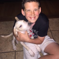 Animal Alliance NJ