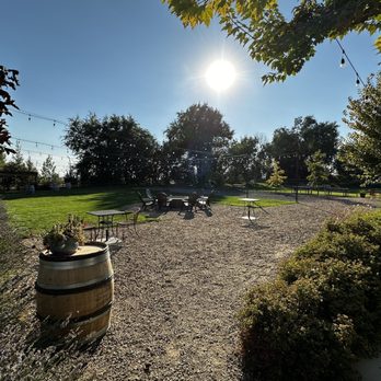 J Bell Cellars - the sun shining through the trees - Wineries Near Me - Zillah, Washington J Bell Cellars - the sun shining through the trees - Wineries Near Me - Zillah, Washington