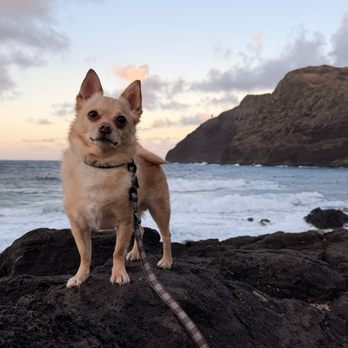 1. Makapuu Beach Park
