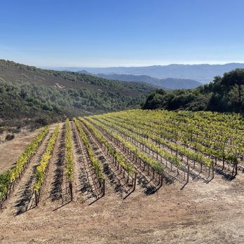 Continuum Estate - View to the valley - Wineries Near Me - Saint Helena, California Continuum Estate - View to the valley - Wineries Near Me - Saint Helena, California