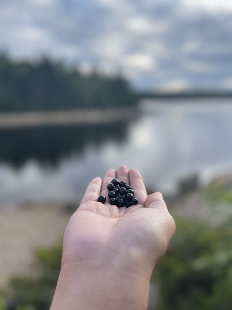 Long Lake Provincial Park
