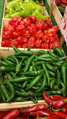 Manhattan Fruit Exchange by null