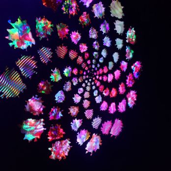 The Real Unreal - Meow Wolf - Art Museums Near Me - Grapevine, Texas The Real Unreal - Meow Wolf - Art Museums Near Me - Grapevine, Texas
