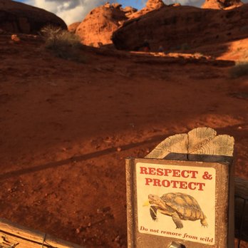 Pioneer Park - Desert tortoise habitat. - Parks Near Me - St. George, Utah