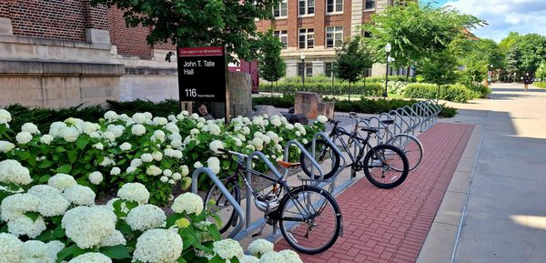 University of Minnesota by null