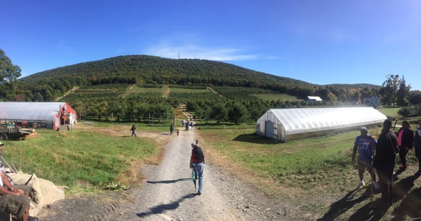 Wilklow Orchards by null
