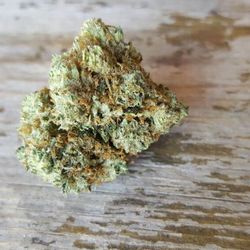 House Of Grace Collective HOG - Death row og...