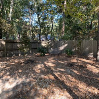 Moon Valley Nurseries - Japanese maples & banana plant in a special sitting area. - Landscaping Near Me - Conroe, Texas Moon Valley Nurseries - Japanese maples & banana plant in a special sitting area. - Landscaping Near Me - Conroe, Texas