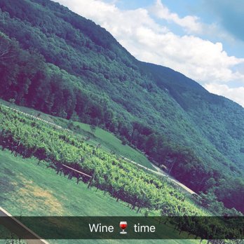 Fainting Goat Vineyards - Wineries Near Me - Jasper, Georgia