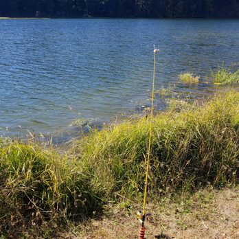 Faraday Lake - Fishing from Shore - Lakes Near Me - Estacada, Oregon Faraday Lake - Fishing from Shore - Lakes Near Me - Estacada, Oregon