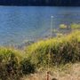 Photo of Faraday Lake