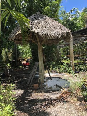 BAMBOO AND ORCHID GARDENS - 378 Photos & 46 Reviews - Landscaping