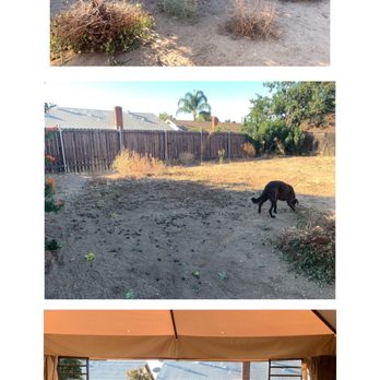 MTS Landscape - Before - Landscaping Near Me - Moreno Valley, California MTS Landscape - Before - Landscaping Near Me - Moreno Valley, California