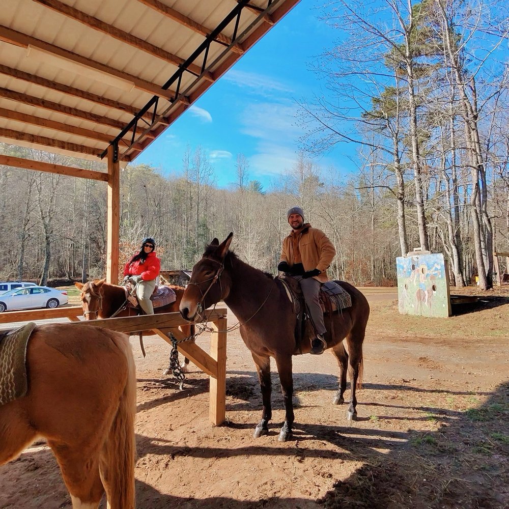 THE BEST 10 HORSEBACK RIDING near JASPER, TN 37347 - Updated 2026 - Hours -  Yelp