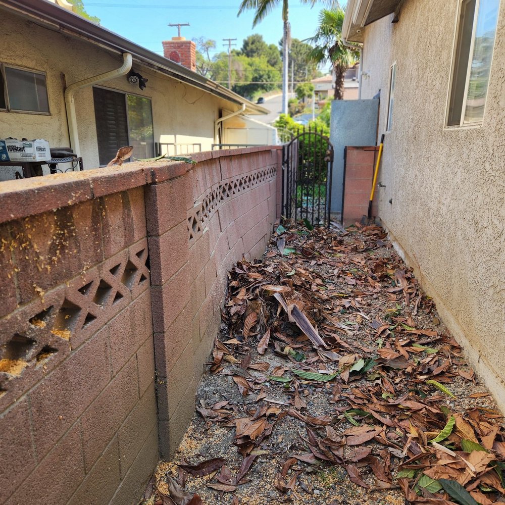 Inexpensive Tree Services - Where the banana plants grew and pushed out the brick wall - Tree Services Near Me - Los Angeles, California Inexpensive Tree Services - Where the banana plants grew and pushed out the brick wall - Tree Services Near Me - Los Angeles, California