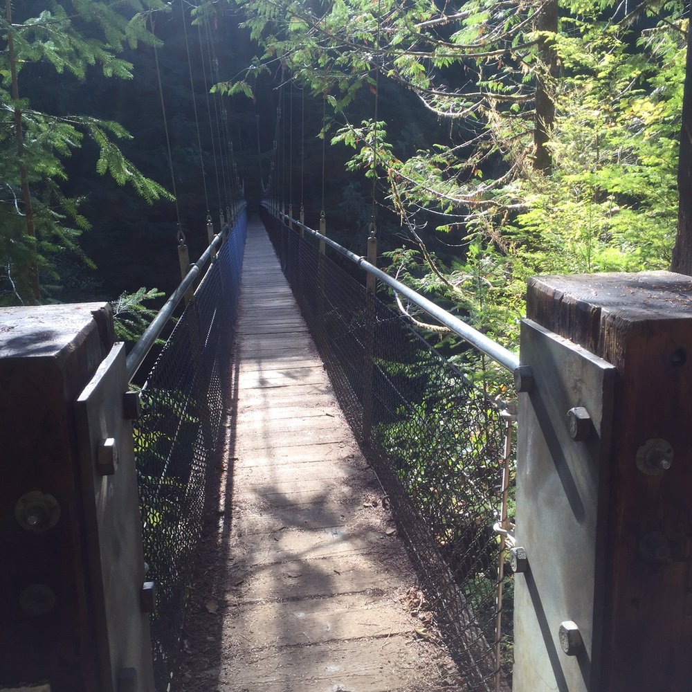 Drift Creek Fall And Bridge - Amazing suspension bridge and beautiful waterfall. - Hiking Near Me - Otis, Oregon Drift Creek Fall And Bridge - Amazing suspension bridge and beautiful waterfall. - Hiking Near Me - Otis, Oregon