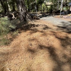 Local Roots Tree Service and Stump Grinding