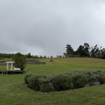 Ali'i Kula Lavender - Tours Near Me - Kula, Hawaii Ali'i Kula Lavender - Tours Near Me - Kula, Hawaii