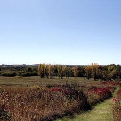 River Bend Nature Center - Perfect spot to check out all the fall colors!