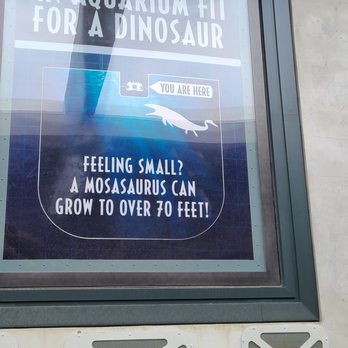 Jurassic World The Ride - Jurassic World the ride - Amusement Parks Near Me - Universal City, California