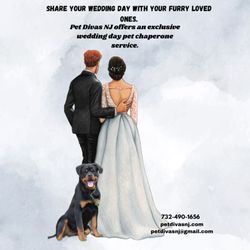 Pet Divas NJ