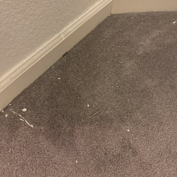 Go Cleaners - Office Cleaning Near Me