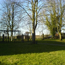 Die Baumtruhe