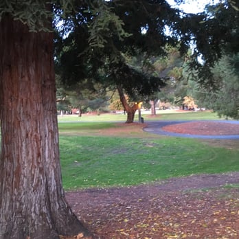Cuesta Park - Parks Near Me - Mountain View, California