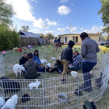 Friendly Pony Parties & Barnyard Pals - Zoo + Pony package. - Party & Event Planning Near Me - Half Moon Bay, California Friendly Pony Parties & Barnyard Pals - Zoo + Pony package. - Party & Event Planning Near Me - Half Moon Bay, California