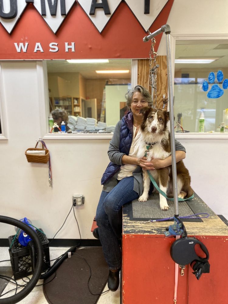 DOG O MAT 40 Reviews 2740 Jackson Ave, Ann Arbor, Michigan Pet