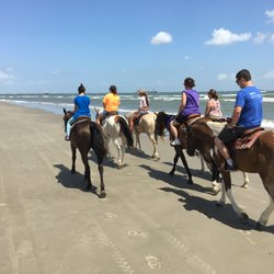 Galveston Island Horse and Pony Rides - Beach, family, horses and fun